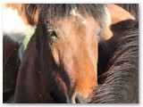 15_Njola 2 Jahre