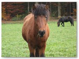 17_Njola 2.5 Jahre