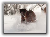 IMG_2457_2