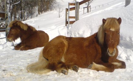 Katur und Hadda im Liegen