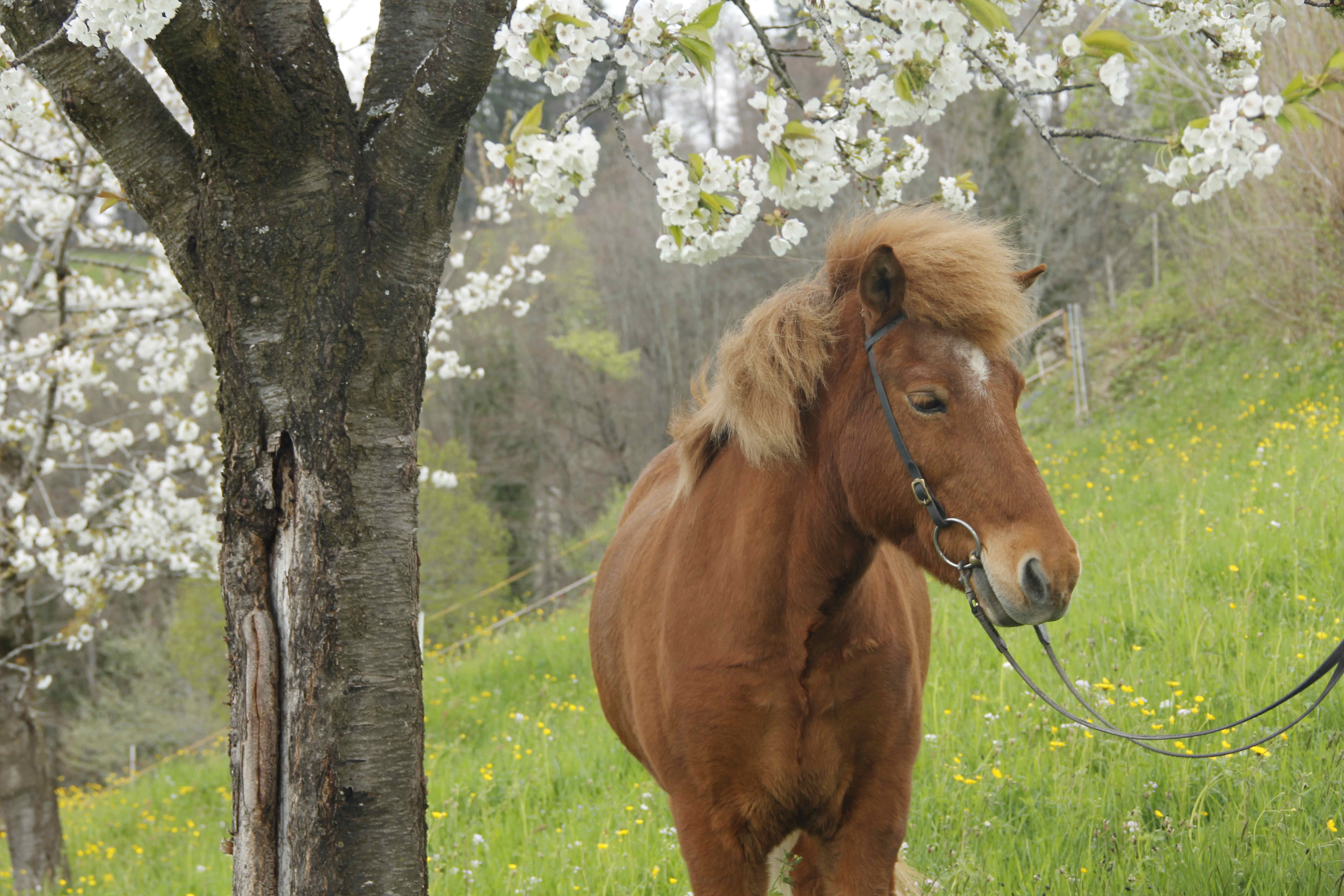 Katur Portrait